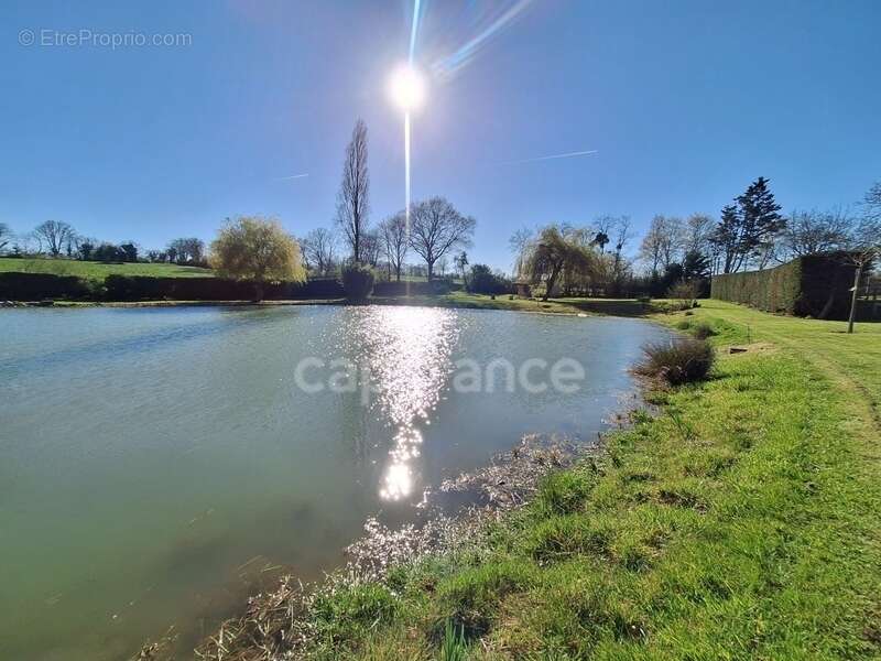 Terrain à MONTIGNE-LE-BRILLANT