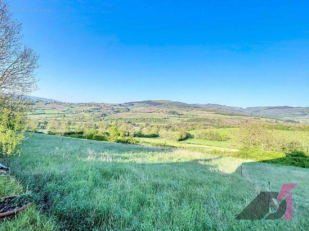 Terrain à BERZE-LA-VILLE