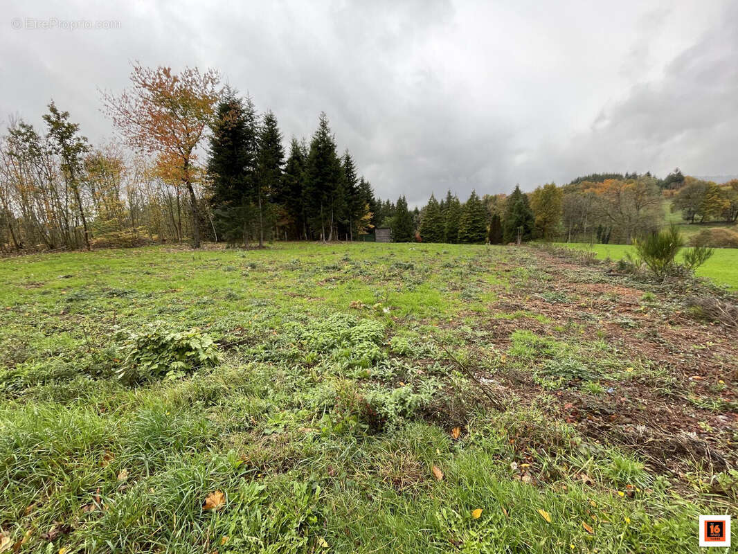 Terrain à CELLES-SUR-DUROLLE