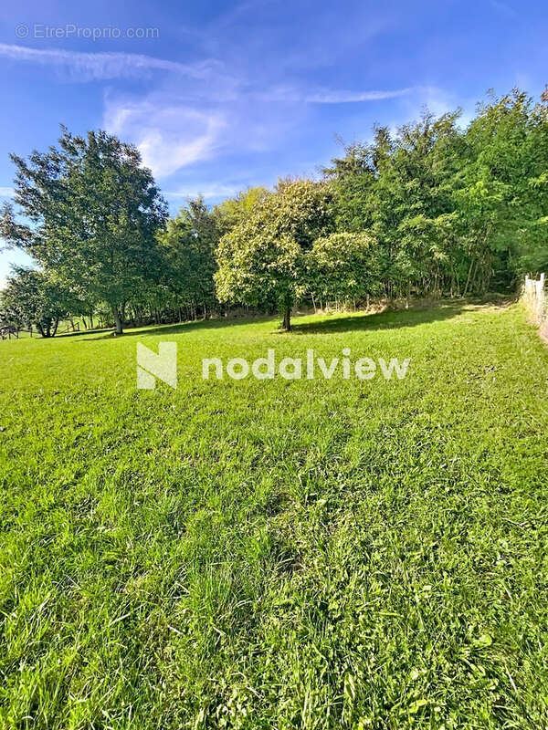 Terrain à SAINT-HILAIRE-DE-LA-COTE