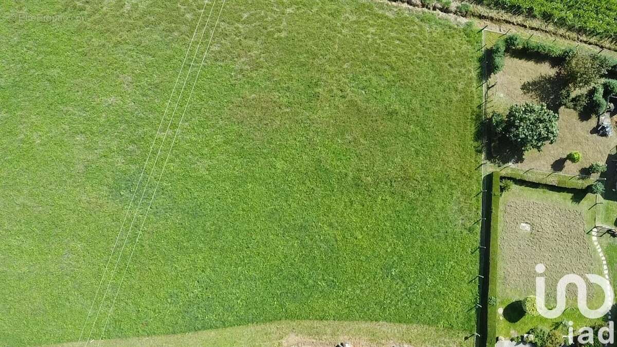 Photo 4 - Terrain à LASSEUBE