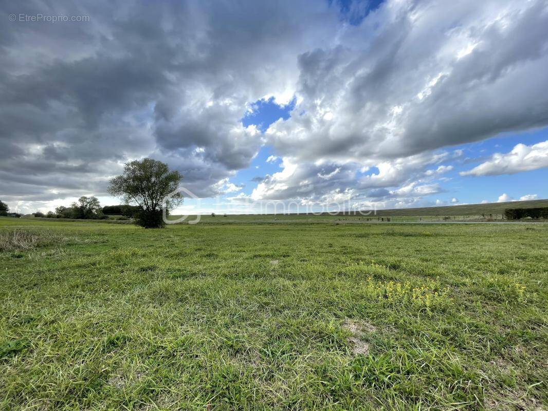 Terrain à GIFFAUMONT-CHAMPAUBERT