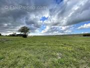 Terrain à GIFFAUMONT-CHAMPAUBERT