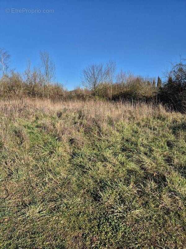 Terrain à GOND-PONTOUVRE