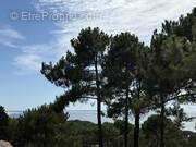 Maison à LE BOUSCAT