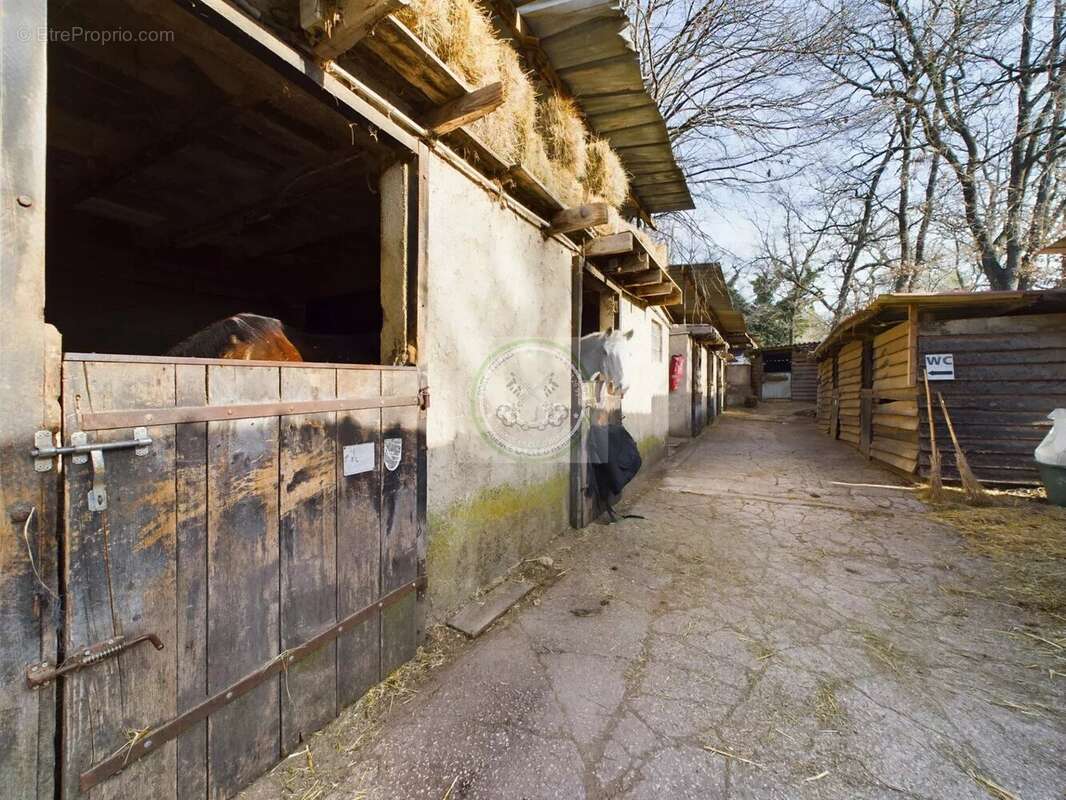 Maison à MONTAUROUX