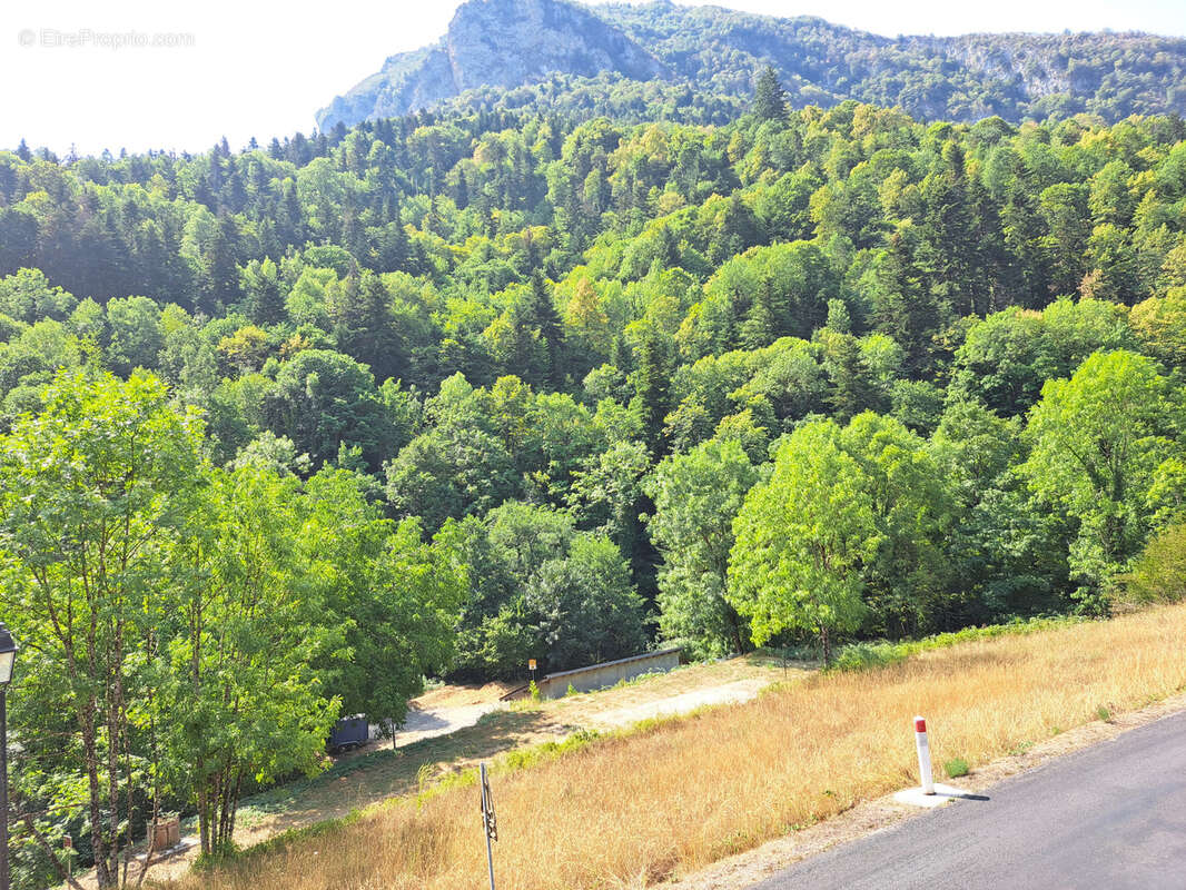 Grande maison familiale avec gîte indépendant, terrasses et jardin à Sainte-Colombe-sur-Guette - photo 29