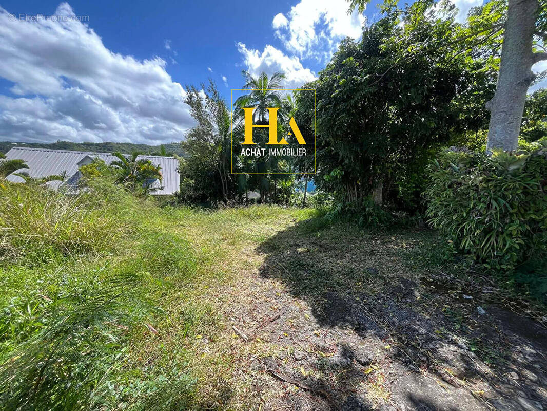 Terrain à ENTRE-DEUX