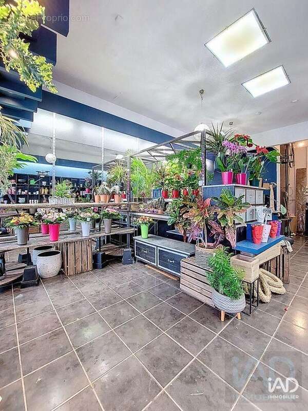 Photo 5 - Commerce à VELIZY-VILLACOUBLAY