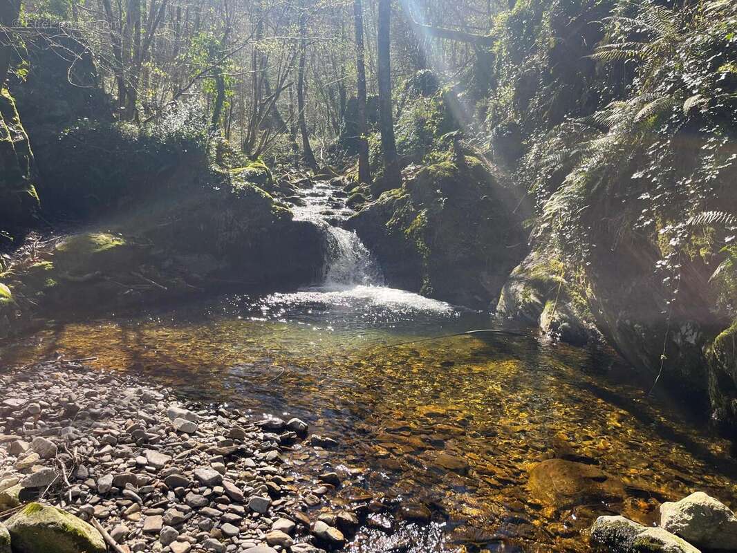 Photo 3 - Maison à SAINT-JEAN-DU-GARD