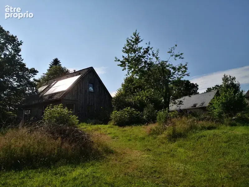 cadre bucolique pour ce domaine compose de 3 maisons sur 15 000 m2 - photo 5