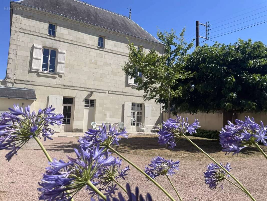 Maison à MONTREUIL-BELLAY