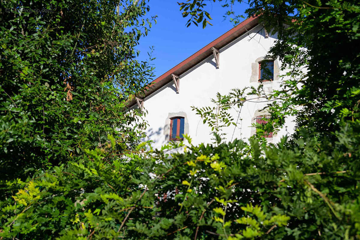 Sur les rives du Gave, 550 m² d'histoire réinventée, prêts à porter votre projet. - photo 14