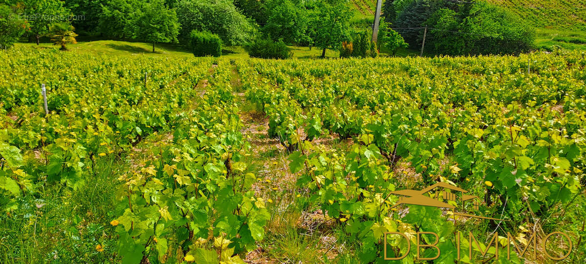 Terrain à JULIENAS