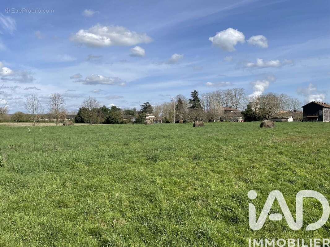 Photo 3 - Terrain à DONZAC