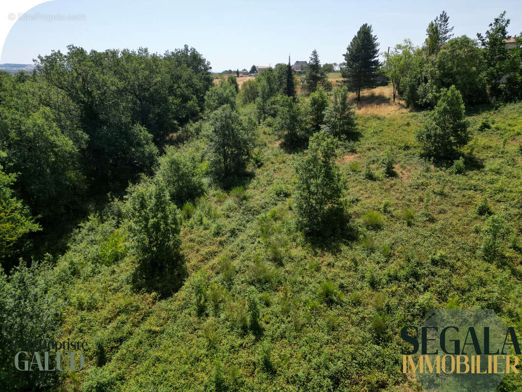 Terrain constructible de 4 526 m2 à Mirandol-Bourgnounac - photo 20