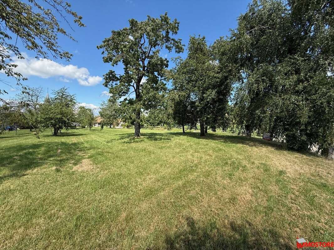 Terrain à MUESPACH-LE-HAUT