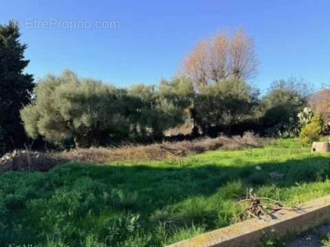 Terrain à VENCE