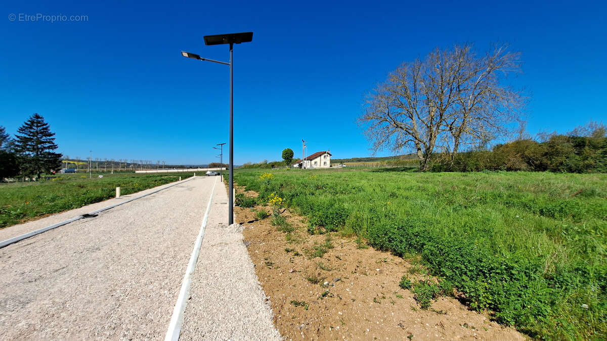 Terrain à MALAY-LE-PETIT