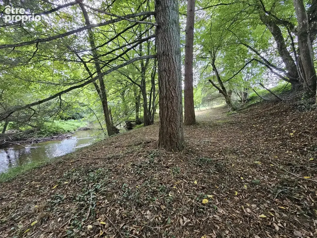 Une remarquable demeure historique offrant espace, caractère et jardin en bord de rivière. - photo 11