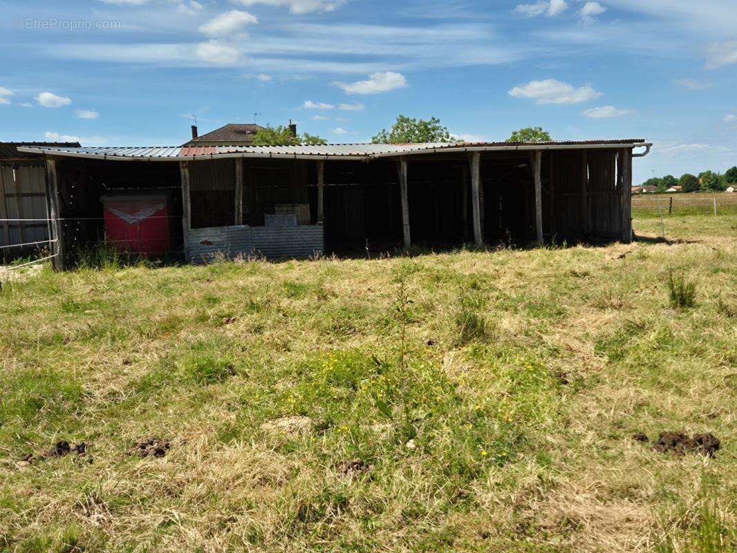 Terrain à MONTPONT-EN-BRESSE