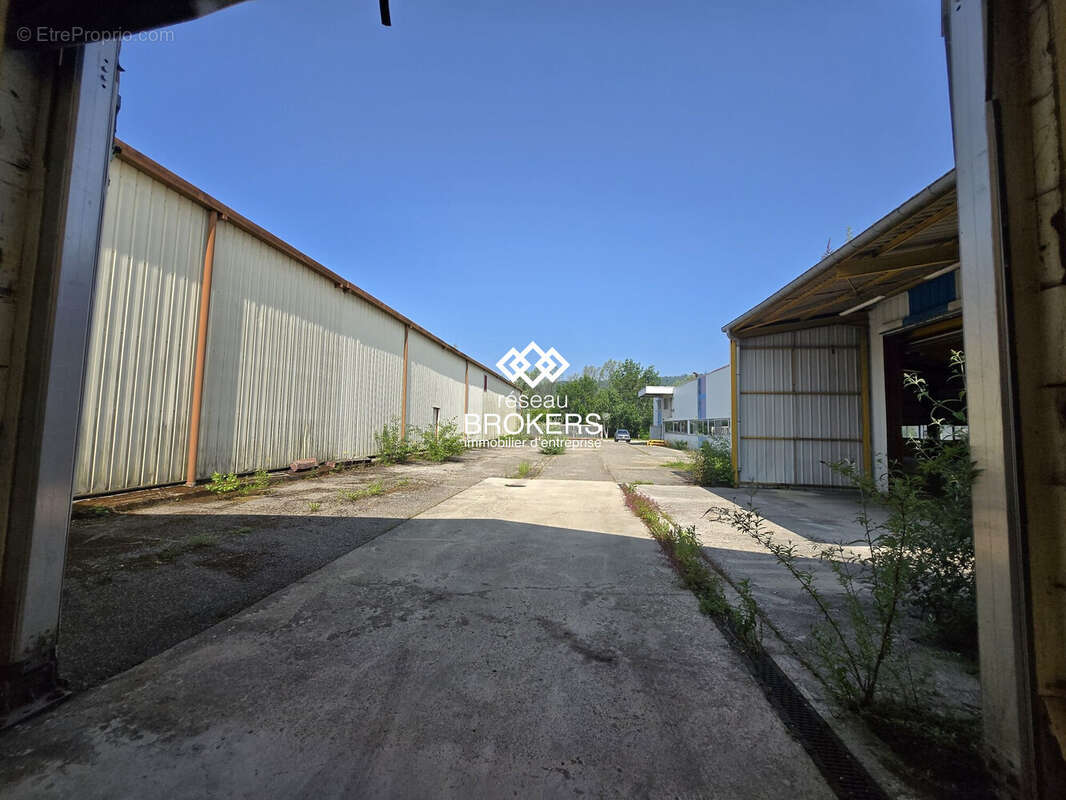 Commerce 3538 m² à Groissiat  - photo 6