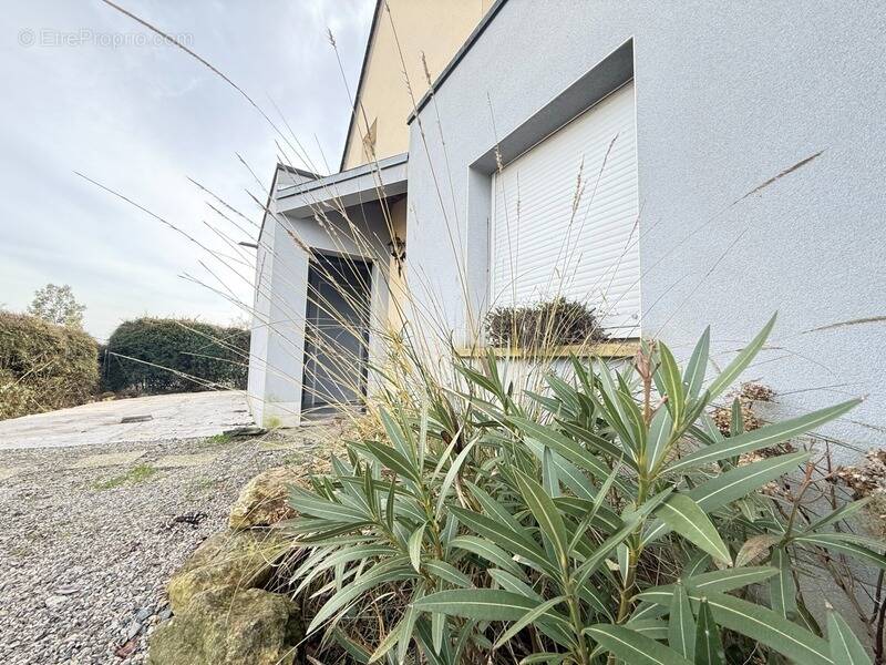 Maison à MESLAY-DU-MAINE