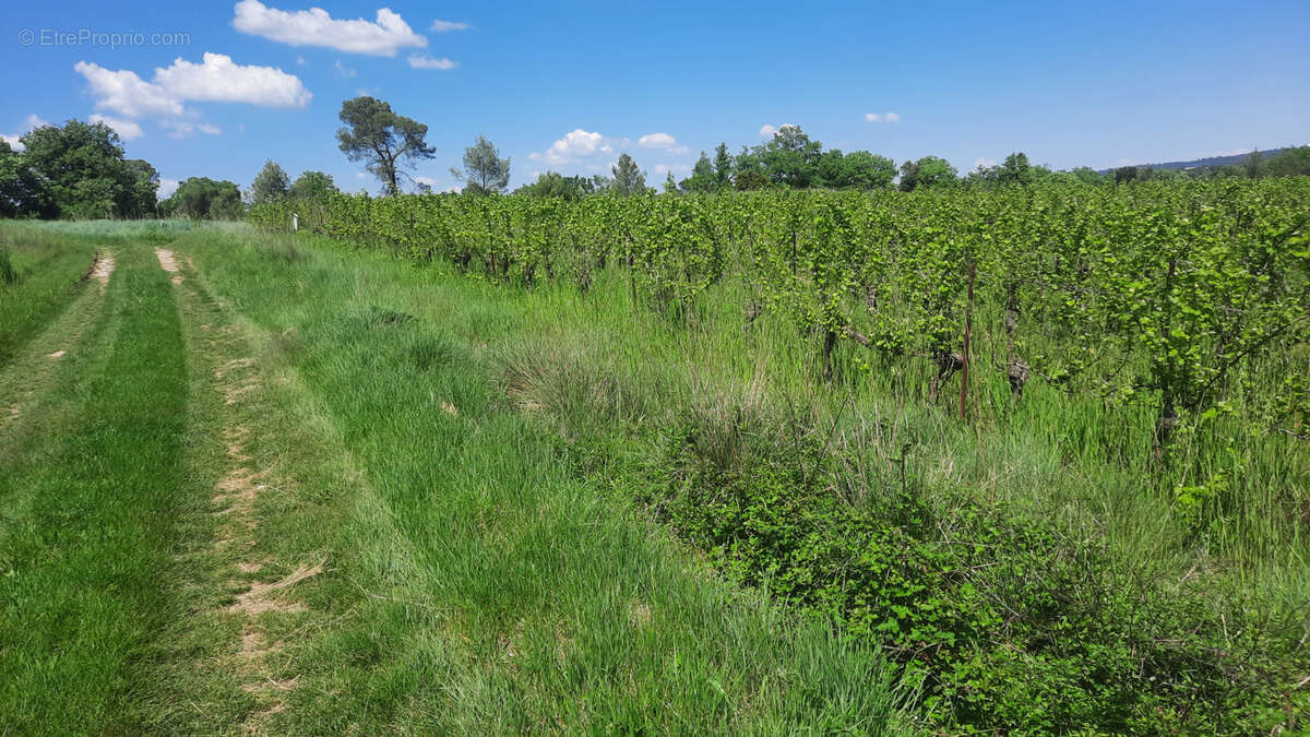 Terrain à CANNES-ET-CLAIRAN