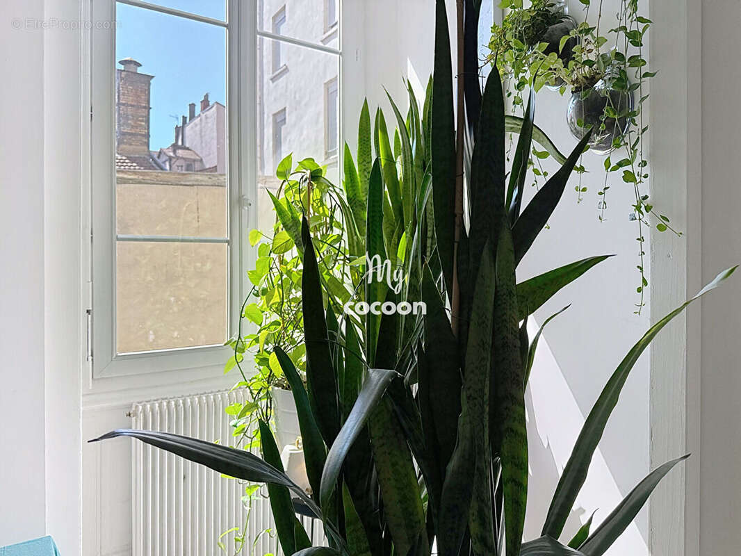 Appartement à LYON-2E