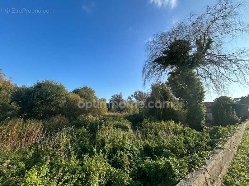 Terrain à SAINT-GEORGES-D&#039;OLERON