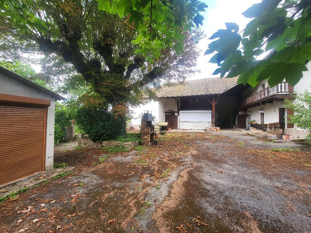 Maison à SAINT-DIDIER-SUR-CHALARONNE