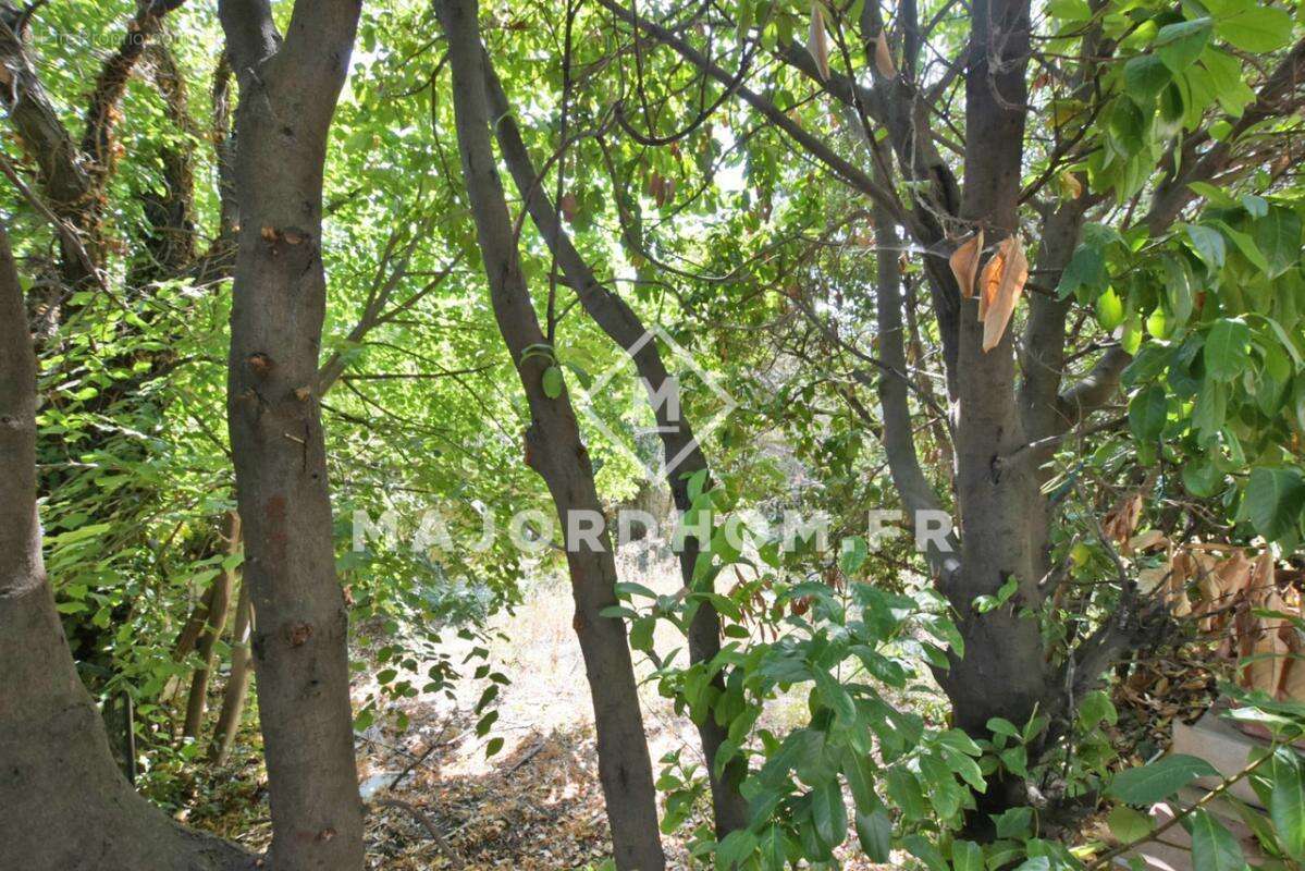 Vend Maison 157m2 terrain de 2193 m2 sans vis à vis  13015 - photo 20