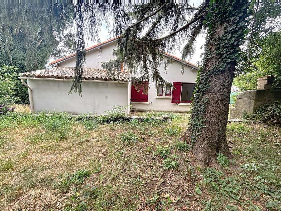 Photo 4 - Maison à FONTIERS-CABARDES