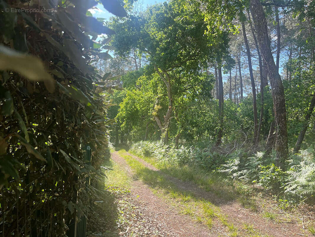Maison à LEGE-CAP-FERRET