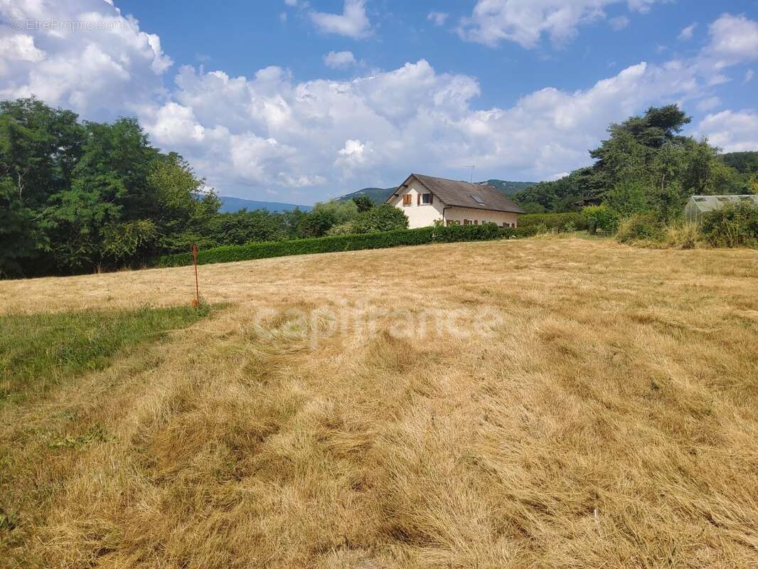 Terrain constructible et divisible en 3 lots, belle exposition ! - photo 3
