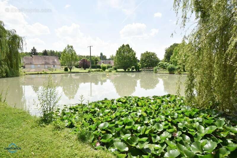 Maison à SELLES-SUR-CHER