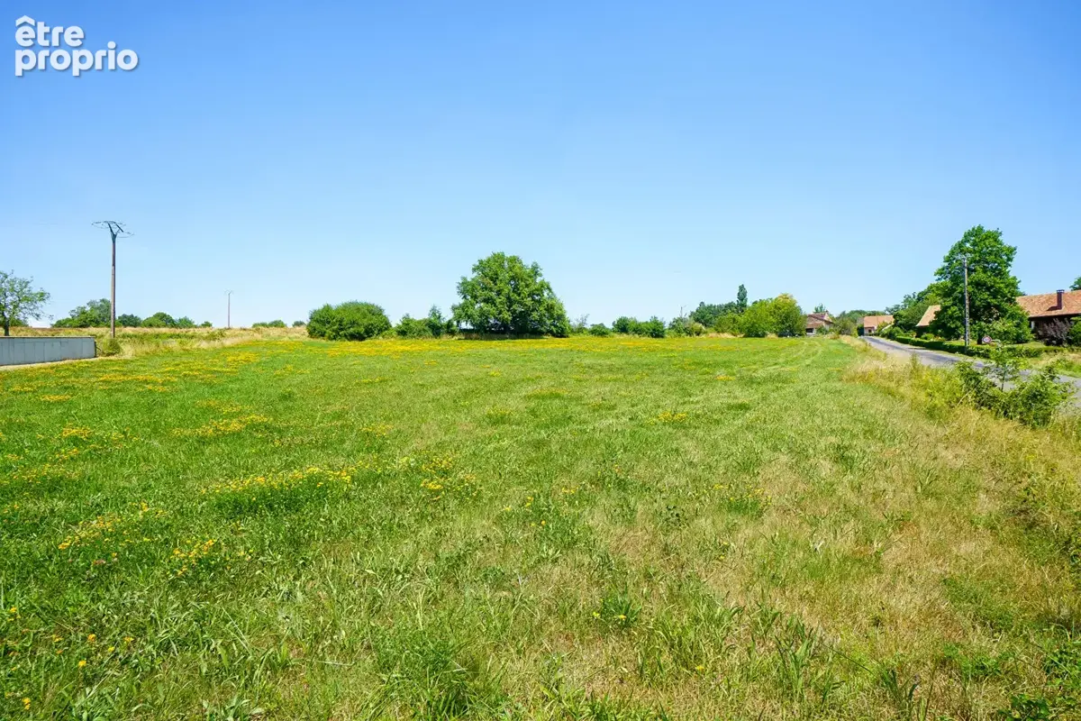 Terrain à bâtir/lotir LOISY - 7061m² - photo 3
