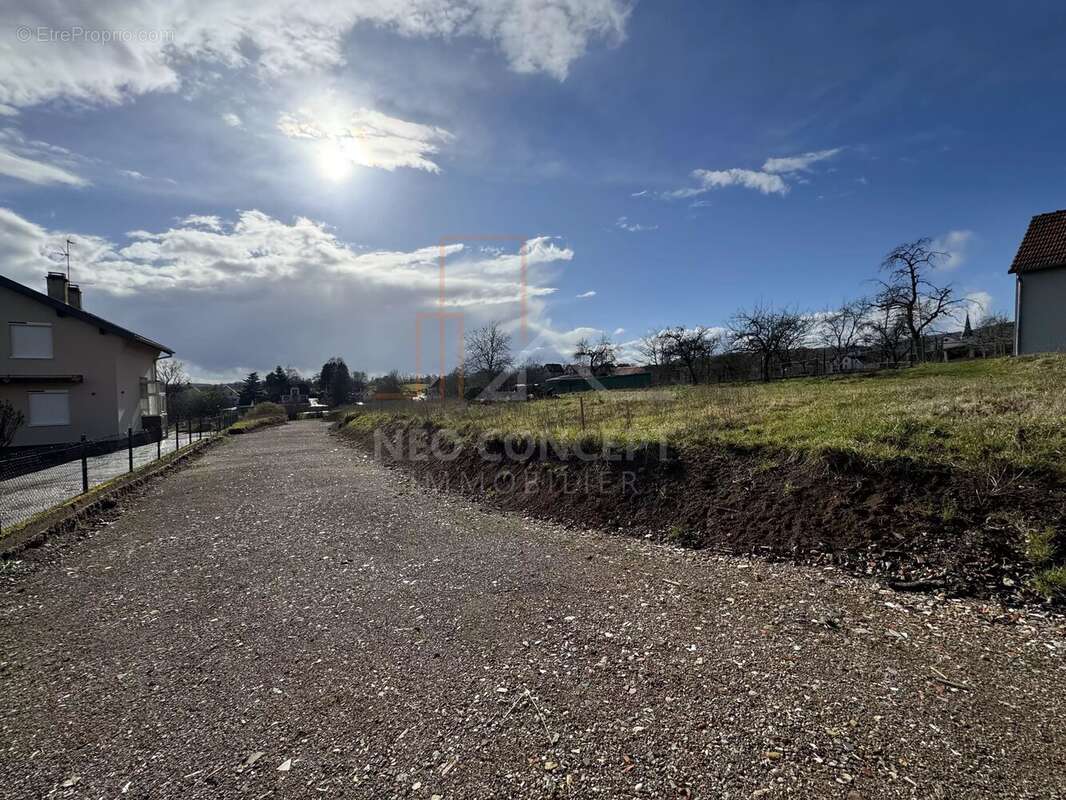 Terrain à LAMPERTSLOCH