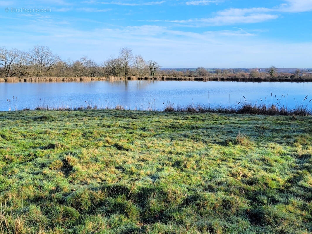 Terrain à SAINT-ANDRE-DE-LA-MARCHE