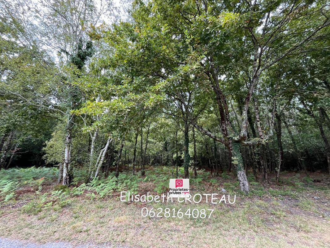 Terrain à SANGUINET