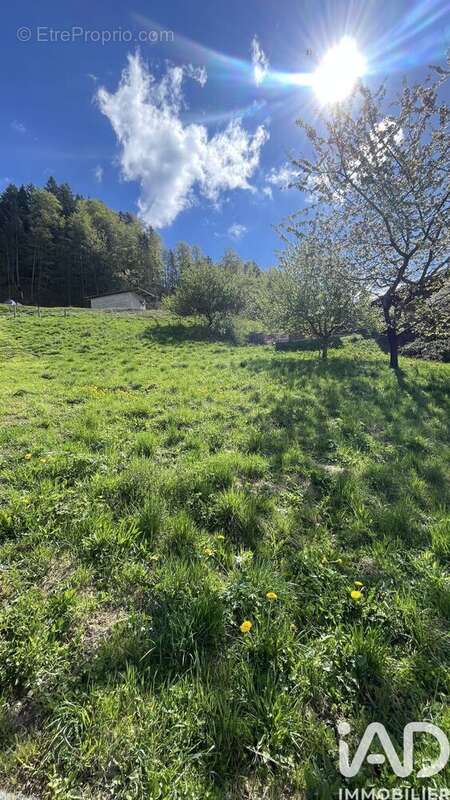 Photo 4 - Terrain à SERRAVAL