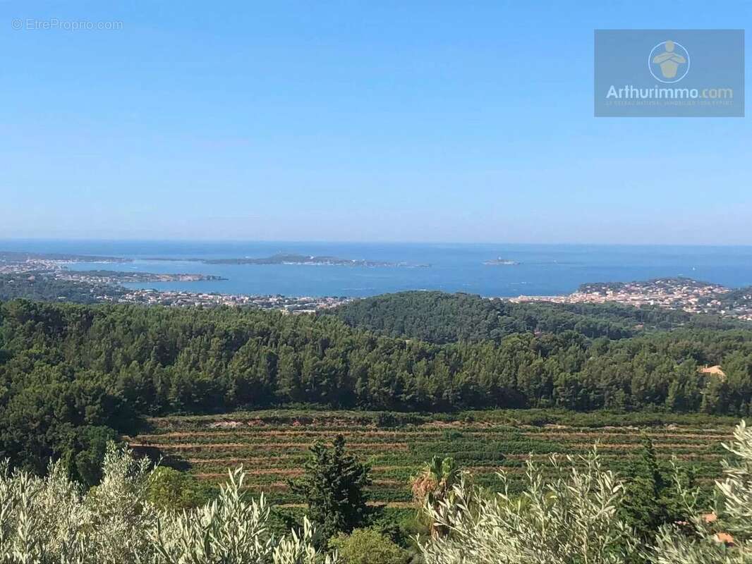 Vente Maison Ollioules(83190) 3 800 000ï¿œ - photo 2