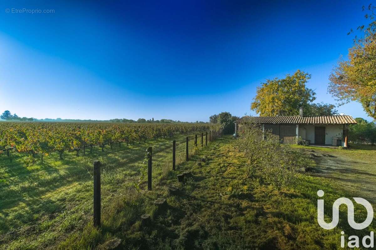 Photo 5 - Maison à LIBOURNE