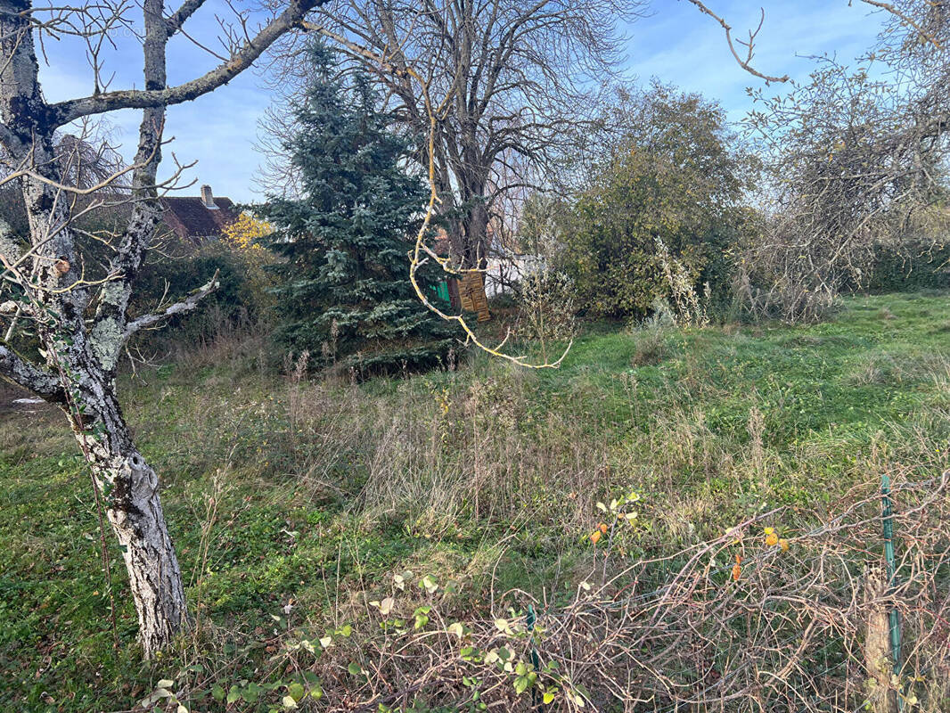 Terrain à LOUHANS