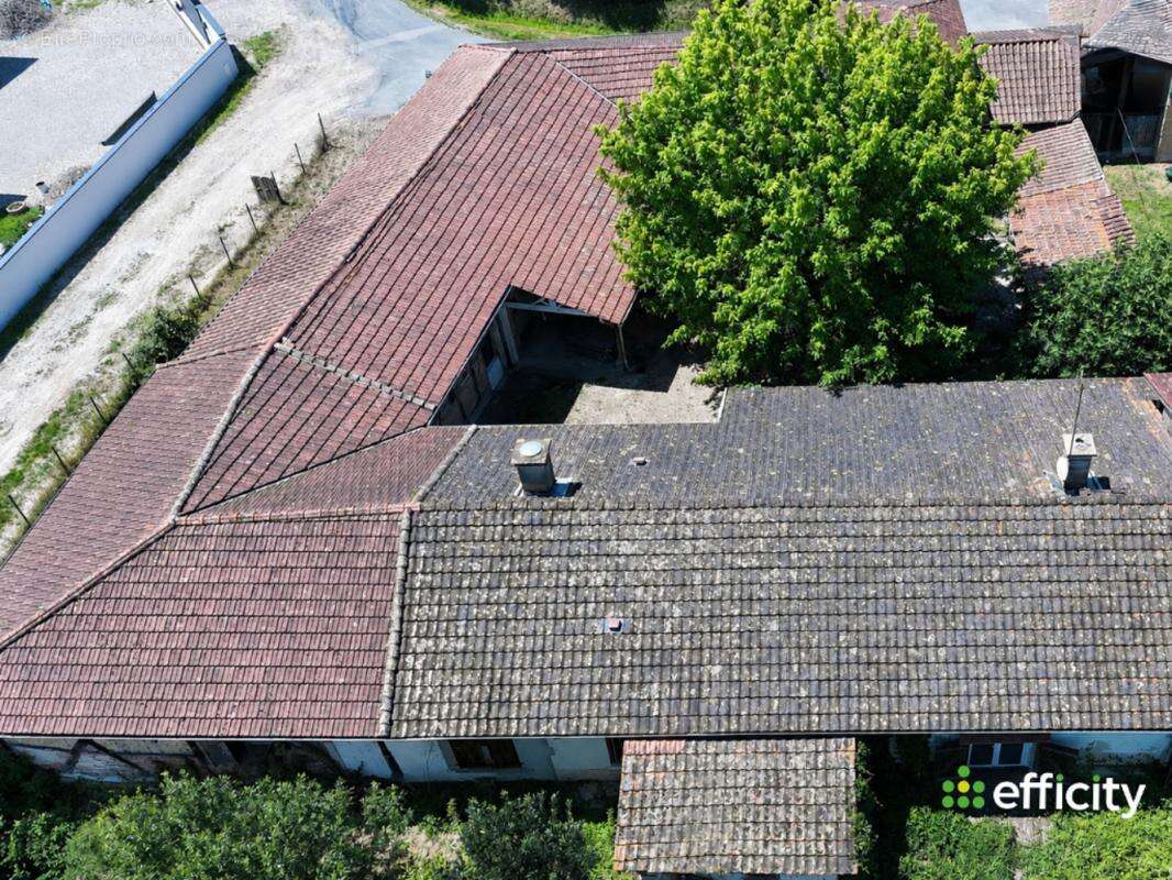 Maison 131 m² à Perrex  - photo 17