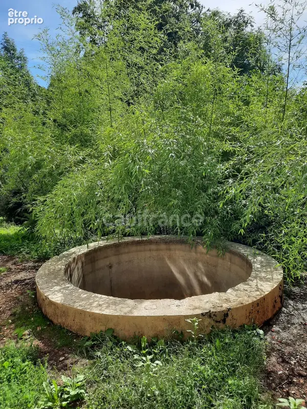Ancienne diamanterie : un bien atypique au potentiel exceptionnel ! - photo 28
