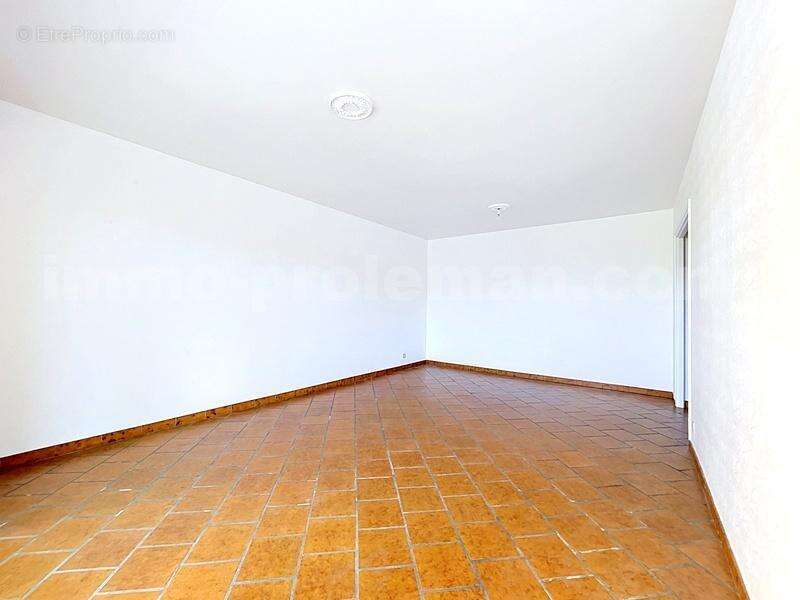 Appartement_T3_Annemasse_belle_superficie_proximitée_frontière_Suisse_tram_Ceva_direction_GENEVE_Frontaliers_Salon_Séjour_Vue_Jet_D'EAU_Vue_MONT_BLANC
