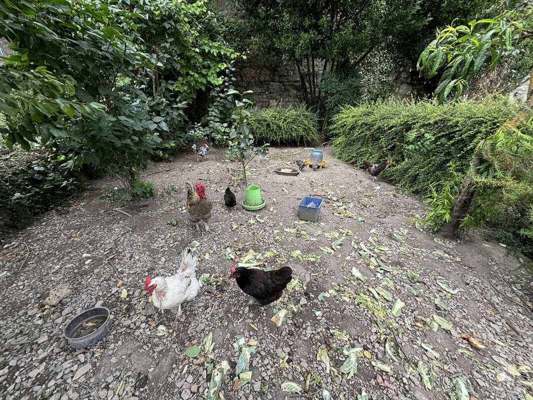Maison à SAINT-JEAN-ET-SAINT-PAUL