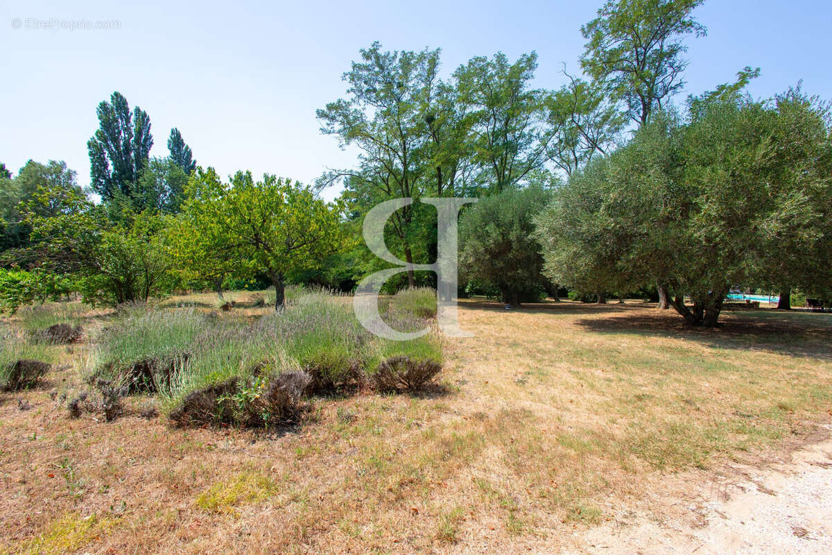 Maison 270 m² à Grignan  - photo 9