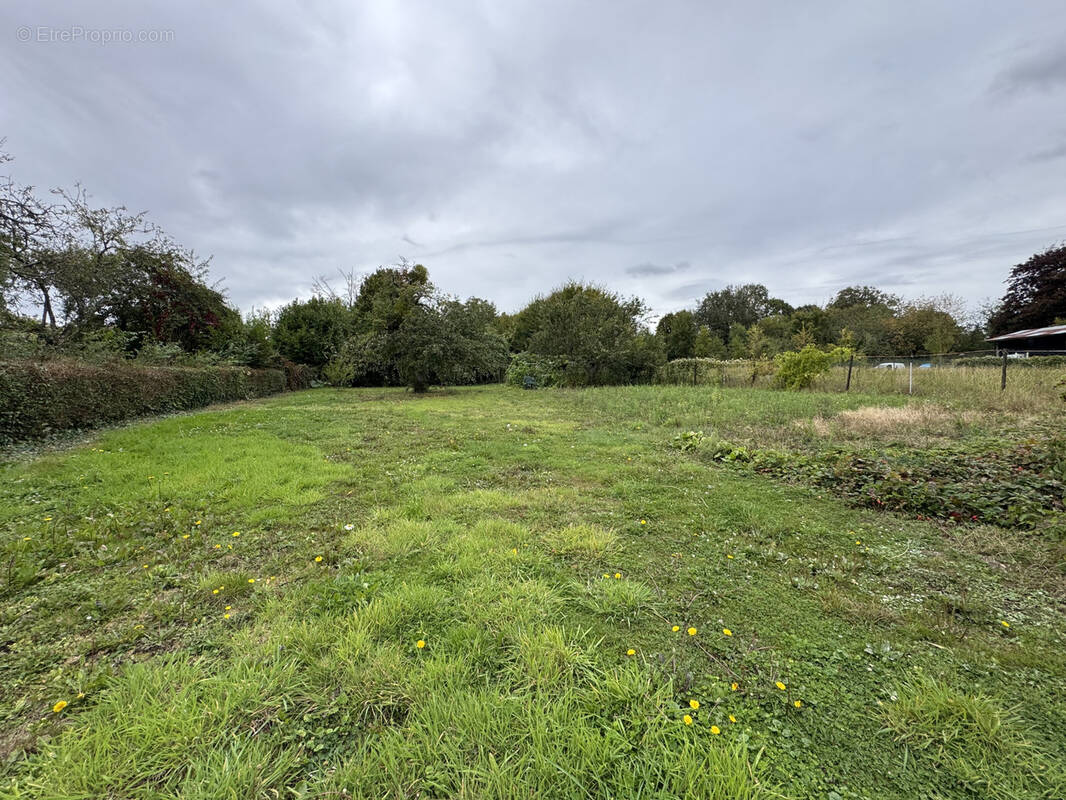 Terrain à VILLERS-COTTERETS